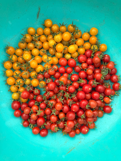 Salad From The Source 2.0