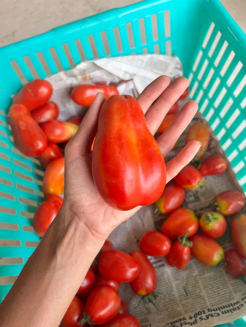 BF7CD523-7C31-495C-B74C-CD8A4894C771