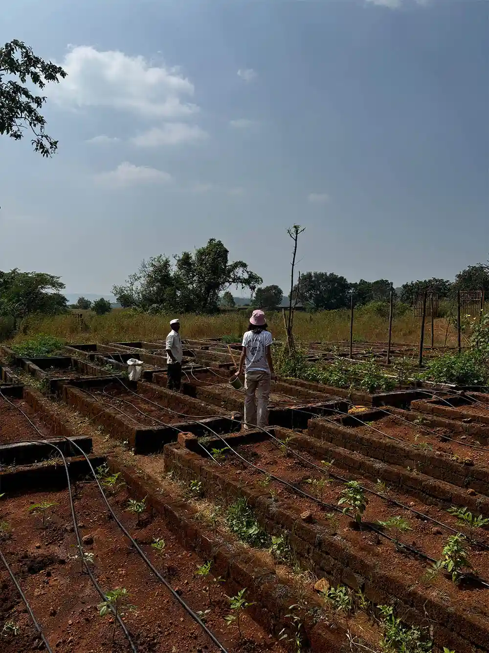 Simbiosis Online Organic Farm Store Mumbai