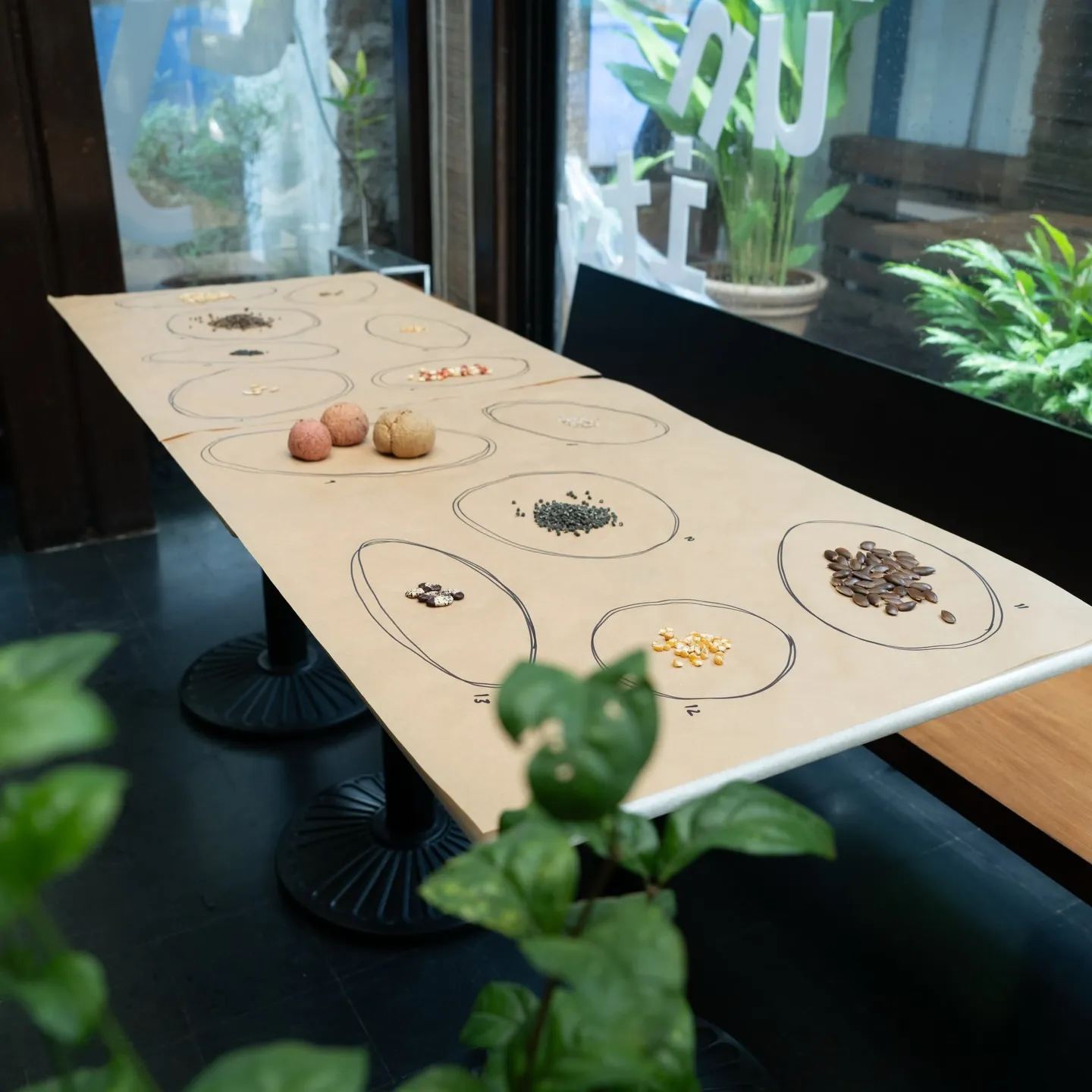 Regenerative Farming Story Mumbai