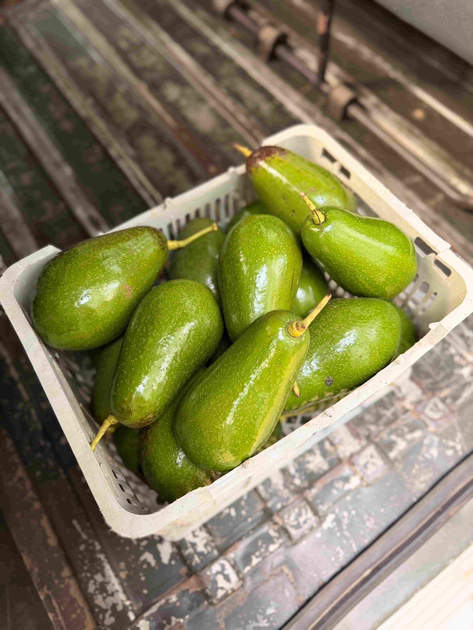 Pinkerton Avocados from Kerehaklu
