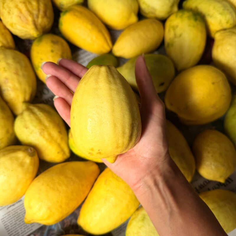Gondhoraj Lemons from Kerehaklu - 500 gms