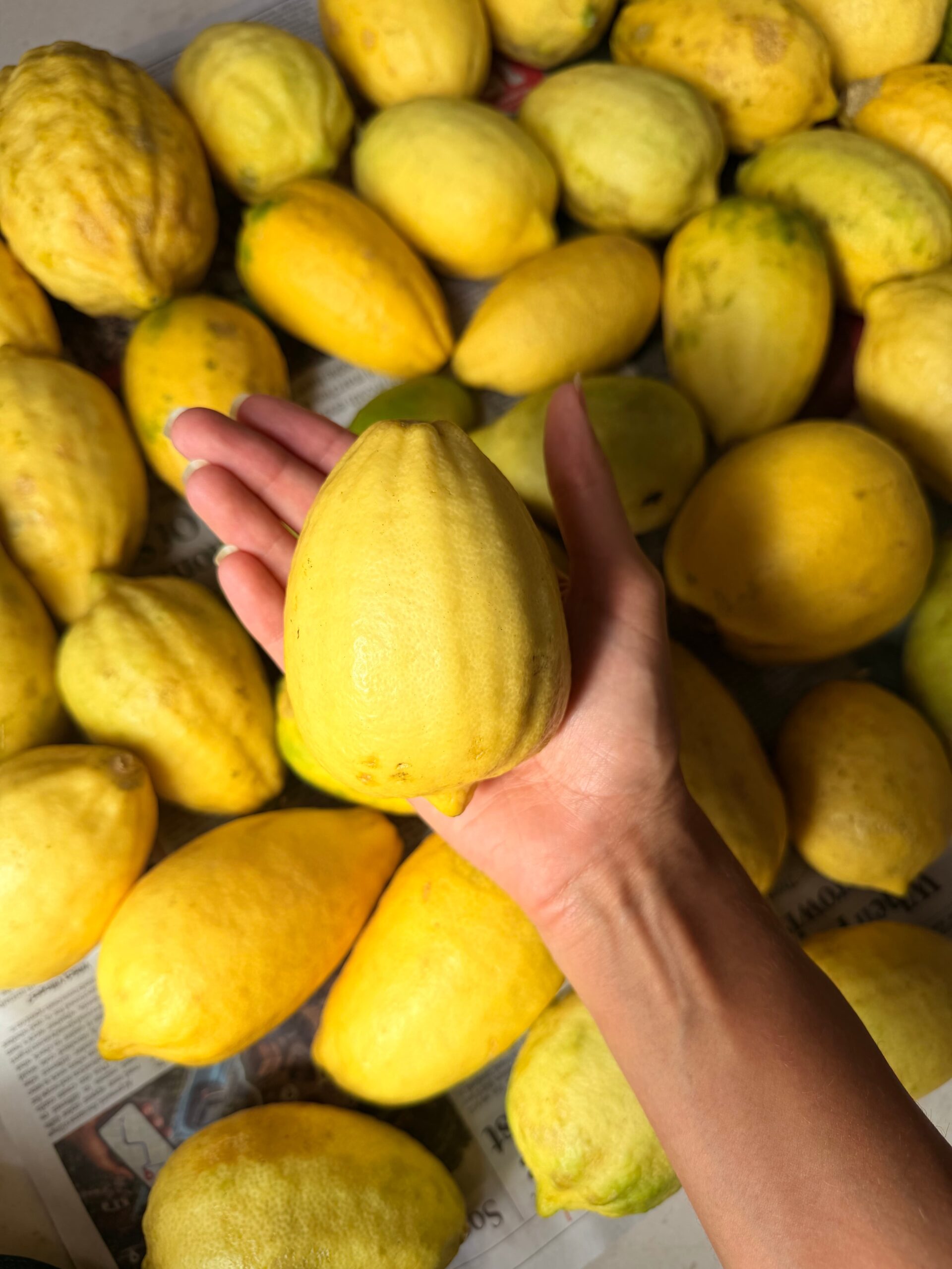 Gondhoraj Lemons from Kerehaklu - 500 gms